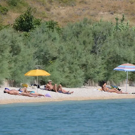 Smokvica Vlasici